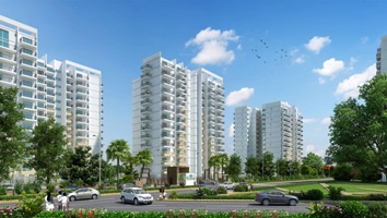 Arvind Orchards