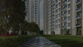 properties